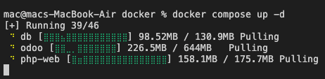 Terminal Docker Pulling