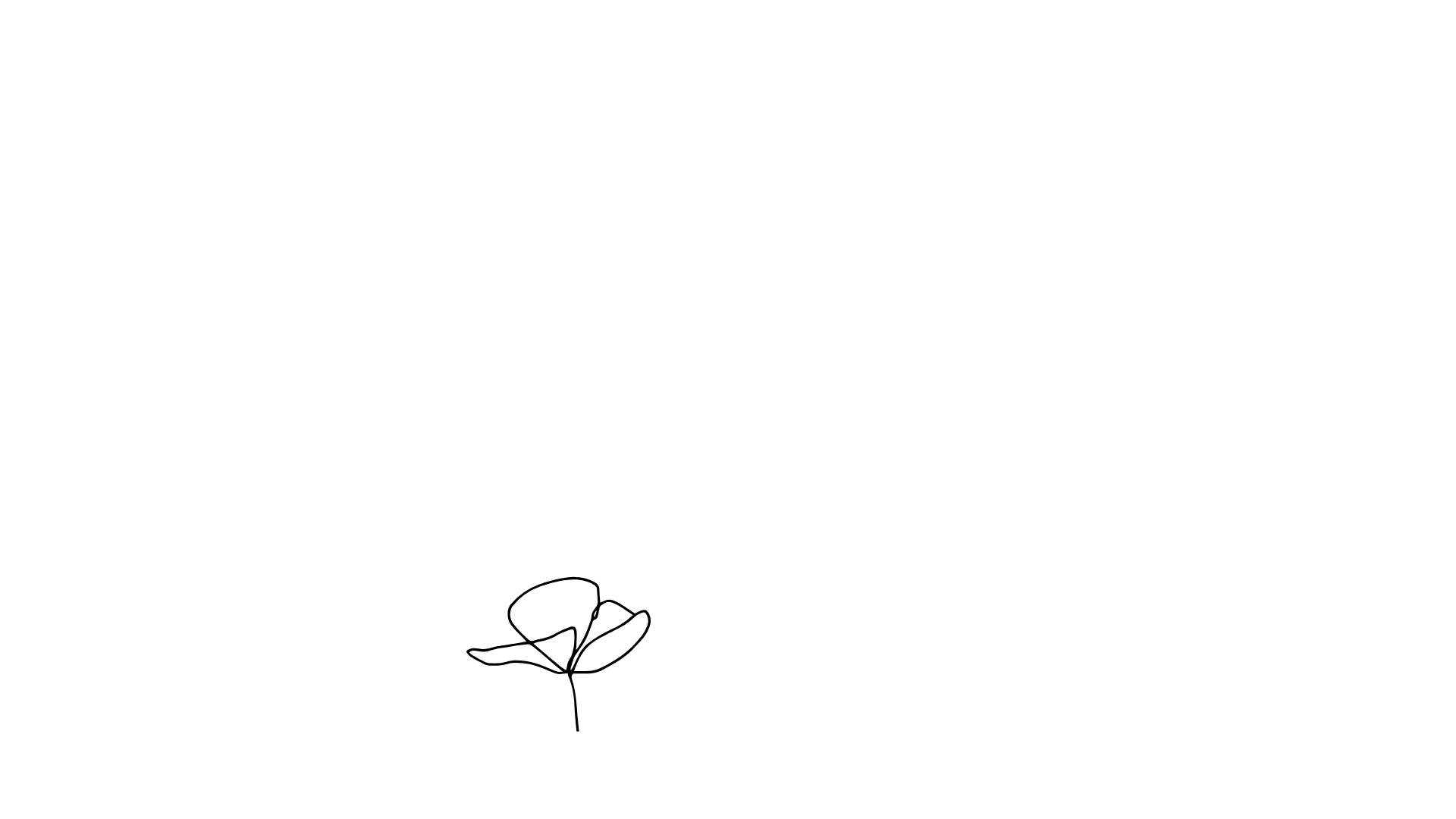 bunga